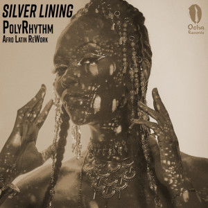 ดาวน์โหลดและฟังเพลง Silver Lining (PolyRhythm Afro Latin ReWork) พร้อมเนื้อเพลงจาก Steve Howerton