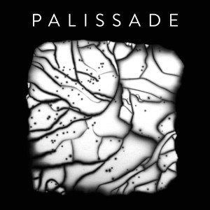 ดาวน์โหลดและฟังเพลง Je ne peux pas oublier พร้อมเนื้อเพลงจาก Palissade