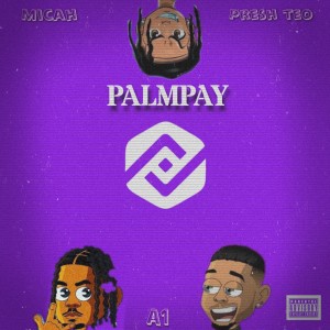 Album Palmpay (Explicit) from Micah