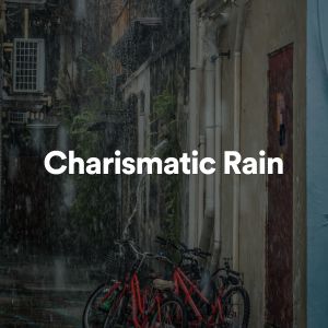 Rain Sounds & White Noise的專輯Charismatic Rain (Explicit)