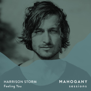 收听Harrison Storm的Feeling You (Mahogany Sessions)歌词歌曲