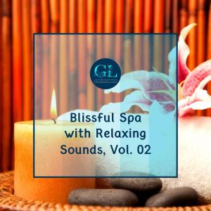 Album Blissful Spa with Relaxing Sounds, Vol. 02 from Various