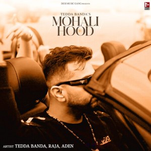 Listen to Mohali Hood song with lyrics from Tedda Banda