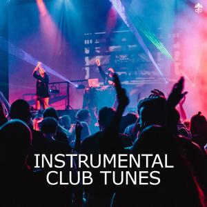 Various Artists的專輯Instrumental Club Tunes