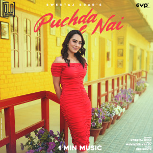 Listen to Puchda E Nai - 1 Min Music song with lyrics from Sweetaj Brar