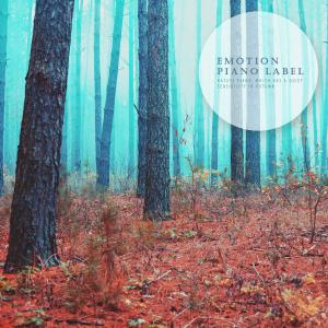 韓國羣星的專輯Nature Piano, Which Has A Quiet Sensibility In Autumn (Nature Ver.)