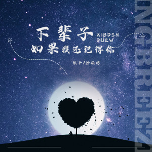 Dengarkan 下辈子如果我还记得你 (纯音乐) lagu dari 师硕晗 dengan lirik