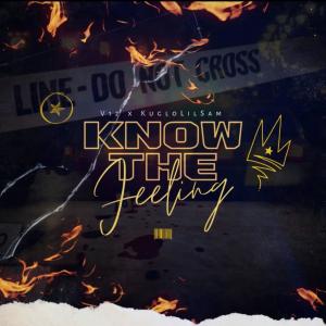 Album Know The Feeling (feat. Kuglo LilSam) (Explicit) from V12