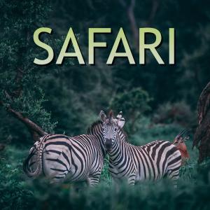 ดาวน์โหลดและฟังเพลง Safari พร้อมเนื้อเพลงจาก Andi Hrytsyk