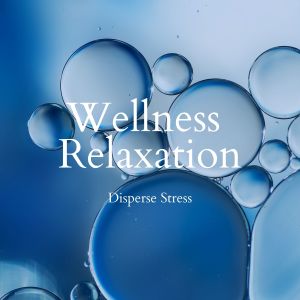 Album Disperse Stress - Wellness Relaxation (Instrumental Version) from Seeking Blue