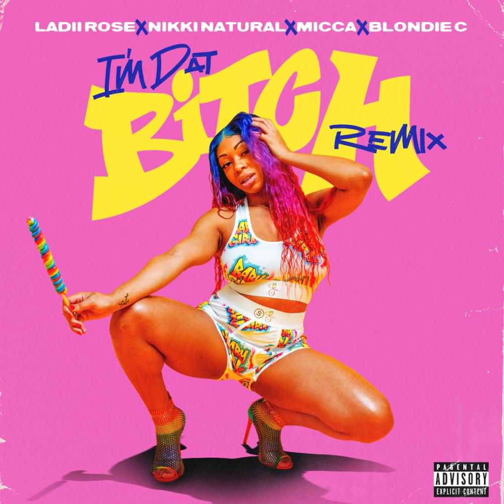 Im Dat Bitch (feat. Nikki Natural, Micca & Blondie Can't U C) (Explicit)