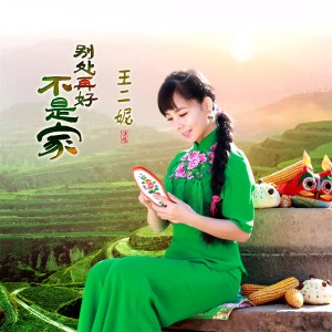 收聽王二妮的別處再好不是家 (完整版)歌詞歌曲