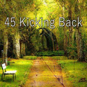 45 Kicking Back