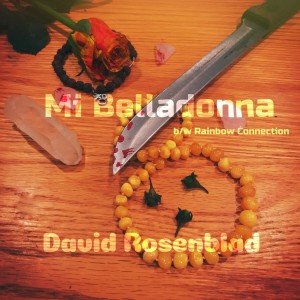 ดาวน์โหลดและฟังเพลง Rainbow Connection พร้อมเนื้อเพลงจาก David Rosenblad