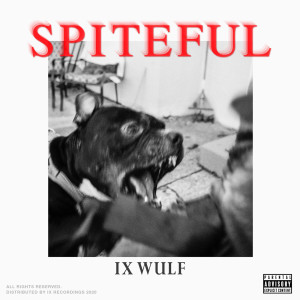 Album Spiteful (Explicit) from IX WULF