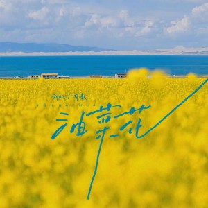 油菜花 dari 刘心