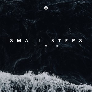 Timix的专辑Small Steps