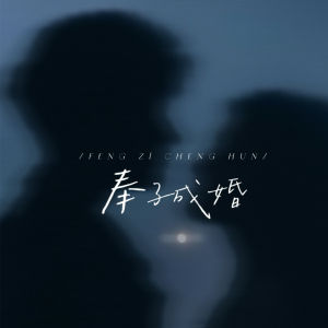 Album 奉子成婚 from 抉择_jz