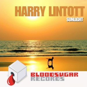 收聽Harry Lintott的Sunlight歌詞歌曲