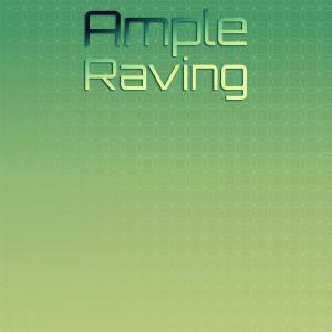 Various Artists的專輯Ample Raving