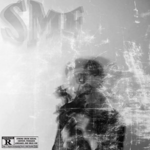 ดาวน์โหลดและฟังเพลง SMF (Explicit) พร้อมเนื้อเพลงจาก Aspect Juni