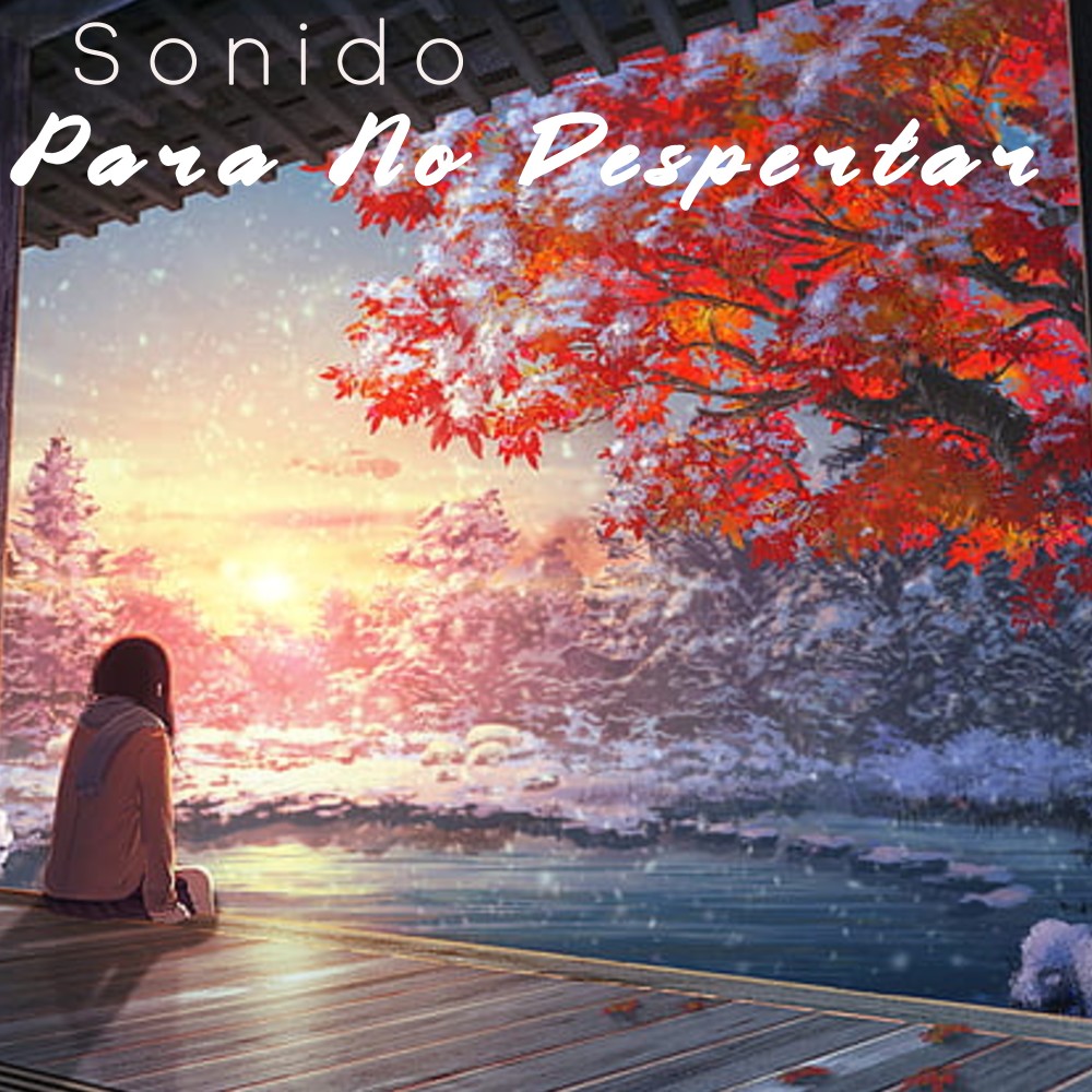 Sonido Para No Despertar