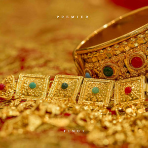 Listen to Premier song with lyrics from Fin0t