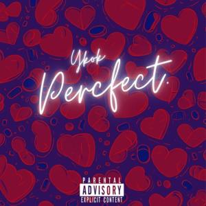 Ykok的專輯Perfect (Explicit)
