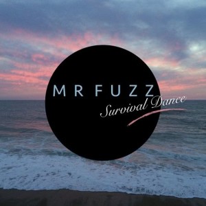 收聽Mr. Fuzz的Survival Dance歌詞歌曲