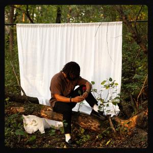 ดาวน์โหลดและฟังเพลง Fool's Gold (feat. Jovon Williams) พร้อมเนื้อเพลงจาก Brandyn Lee Tulloch