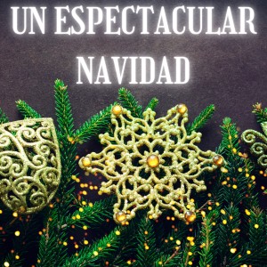 Various Artists的專輯Un Espectacular Navidad
