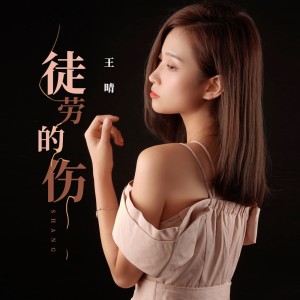 收聽王晴的徒勞的傷 (完整版)歌詞歌曲