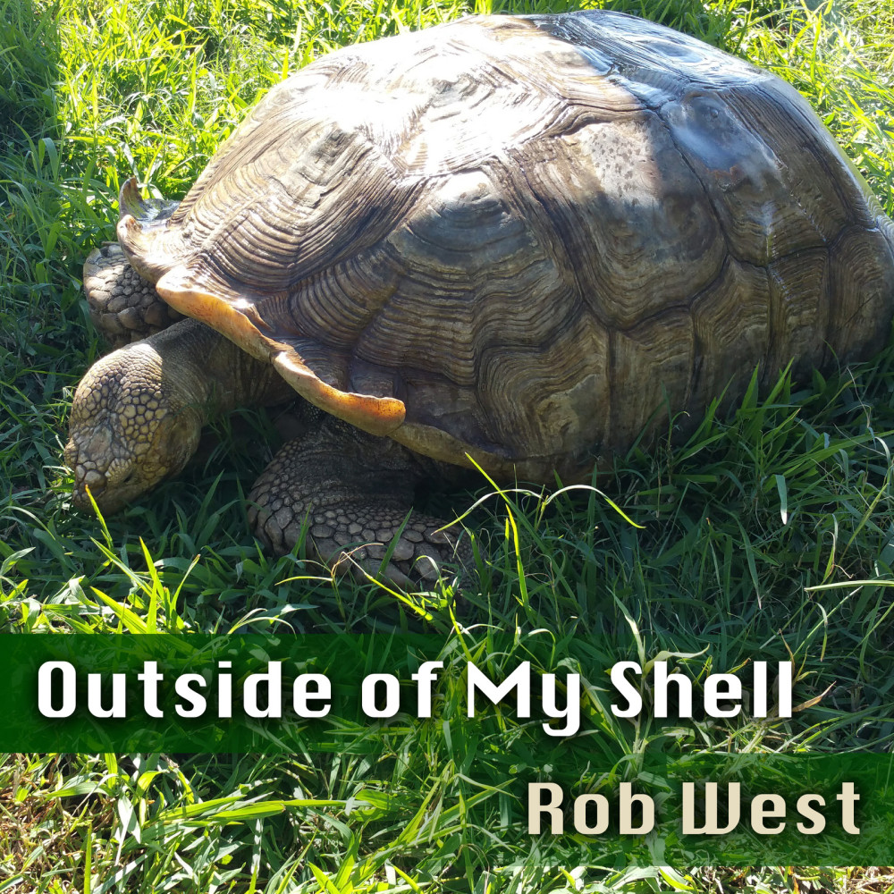 Outside of My Shell