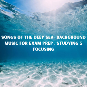 อัลบัม Songs of the Deep Sea- Background Music for Exam Prep , Studying & Focusing ศิลปิน Baby Beethoven