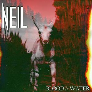 ดาวน์โหลดและฟังเพลง Blood Water (feat. Gerard Vachon) พร้อมเนื้อเพลงจาก NEIL