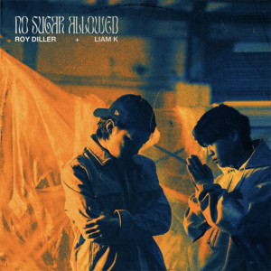 อัลบัม No Sugar Allowed (Explicit) ศิลปิน Roy Diller