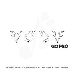 收聽Bigfootinyourface的Go Pro (Explicit)歌詞歌曲
