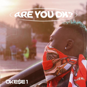 Album Are You Ok? from 