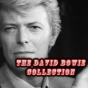 收聽David Bowie的She's Got Medals歌詞歌曲