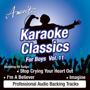 收聽Ameritz Karaoke Band的Stop Crying Your Heart Out (In The Style Of Oasis)歌詞歌曲