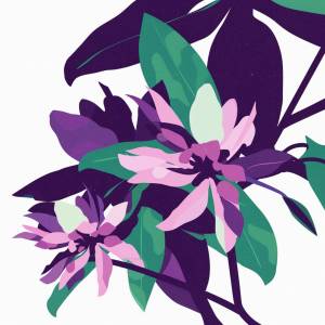 Album Petals from .EEhOU