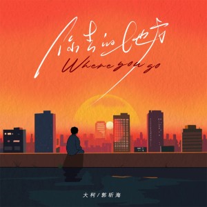Album 你去的地方 from 大柯
