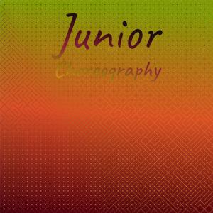 Various Artists的專輯Junior Choreography