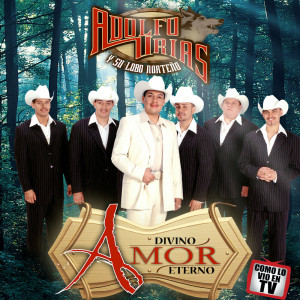 ดาวน์โหลดและฟังเพลง Tarde Por Tarde พร้อมเนื้อเพลงจาก Adolfo Urias y su Lobo Norteño