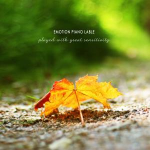 Album Sensibility Of Memories Piano Collection Vol.1 from Various Artists