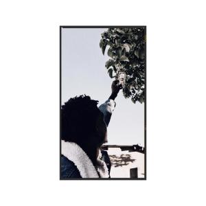 Stoic的專輯Shouldn't have (Explicit)