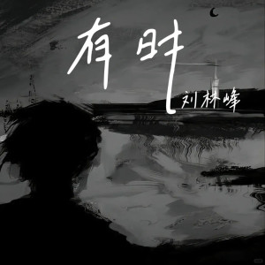 Album 有时 from 刘河君