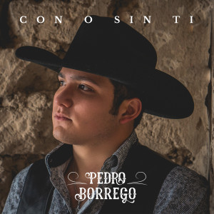 ดาวน์โหลดและฟังเพลง Si Tú Lo Supieras พร้อมเนื้อเพลงจาก Pedro Borrego