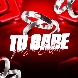 ดาวน์โหลดและฟังเพลง TU SABE QUE EU SOU SOLTEIRO (Explicit) พร้อมเนื้อเพลงจาก Carolinne Silver