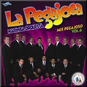 อัลบัม Mix Pegajosos Vol. 6. Música de Guatemala para los Latinos ศิลปิน Marimba Orquesta La Pegajosa